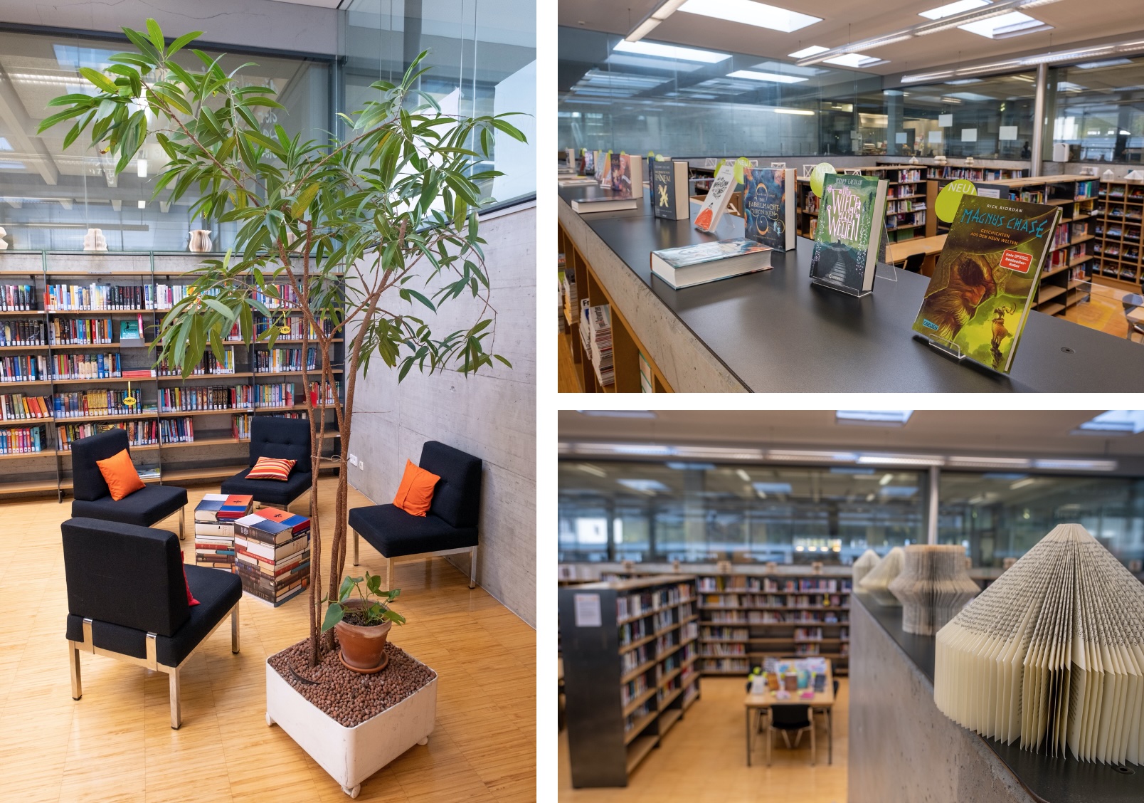 2020_21-11-bibliothek-collage.jpg